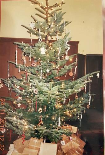 Christmas Tree 2016