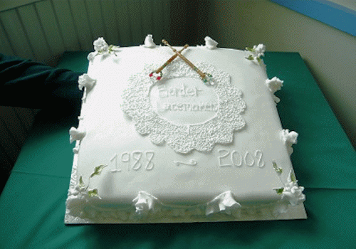 20th Anniversary Cake 2008